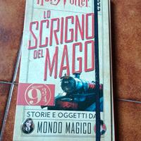 Harry Potter scrigno del mago 