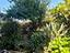 Immagine 27