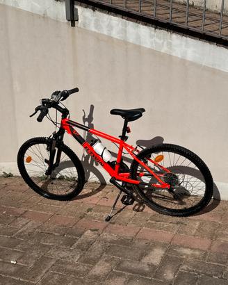 Bicicletta