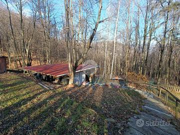 TER. AGRICOLO A GIAVENO