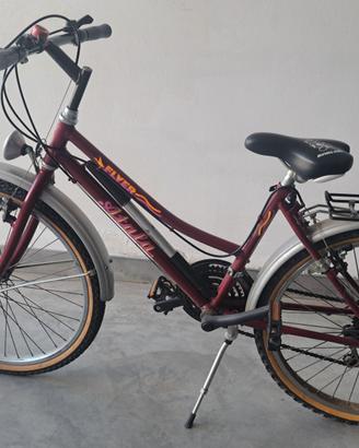 BICICLETTA PER RAGAZZI 