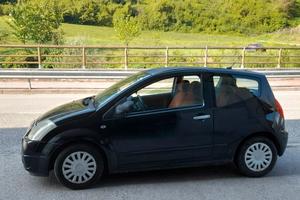 Citroen c2 1.100 benzina