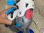Immagine 1