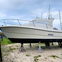 Cantiere Nautico Spinella Giglio 26 (1997)