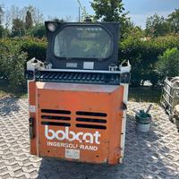 Bobcat