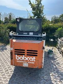 Bobcat