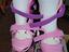 Immagine 4