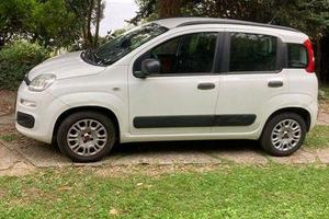Fiat Panda 1.2 benzina, manuale - 55.000 km.