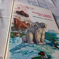 Guarda e scopri gli animali della tundra e dei ghi