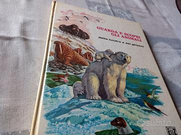 Guarda e scopri gli animali della tundra e dei ghi