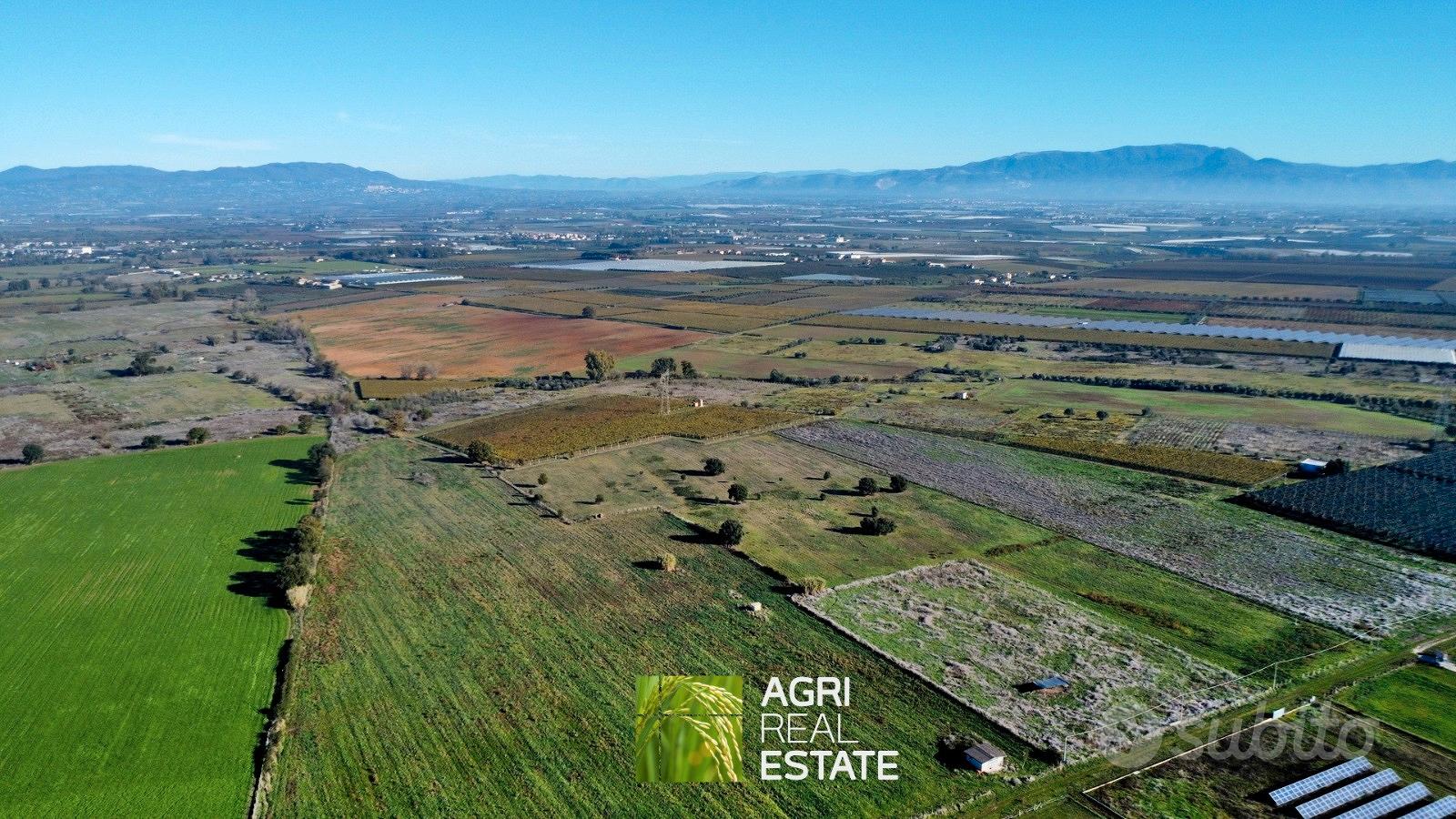 Terreno agricolo 7 HA con pozzo e magazzino - Altro