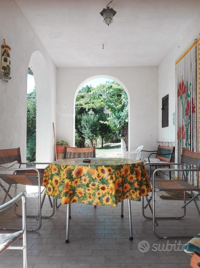 Villa immersa nel verde + terreni - Vista 3