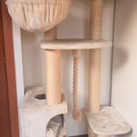 Tiragraffi XL maine coon bengala siberiani