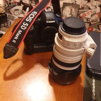 Obiettivo Canon 28/300 + 5D Mk2