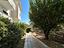 Immagine 7