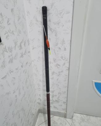Canna da pesca