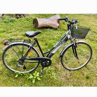 Bicicletta city bike