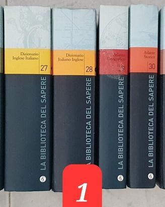 Lotto Stock Libri Enciclopedie Dizionari