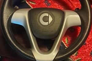 Sterzo smart 451 modello F 1