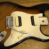 Body Stratocaster 