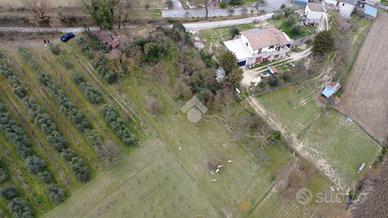 TER. AGRICOLO A CANTALICE