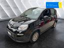 fiat-panda-1-0-firefly-s-s-hybrid