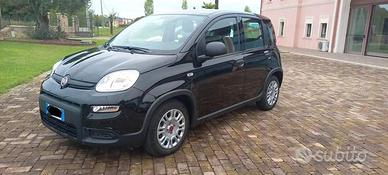 Fiat Panda 1000 Hybrid 2023 ricambi