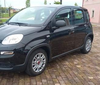 Fiat Panda 1000 Hybrid 2023 ricambi