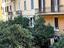 Immagine 12