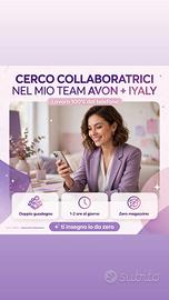 lavoro online 