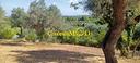 terreno-di-1480-m²-a-livorno