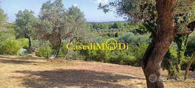 Terreno di 1480 m² a Livorno
