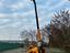 Immagine 7