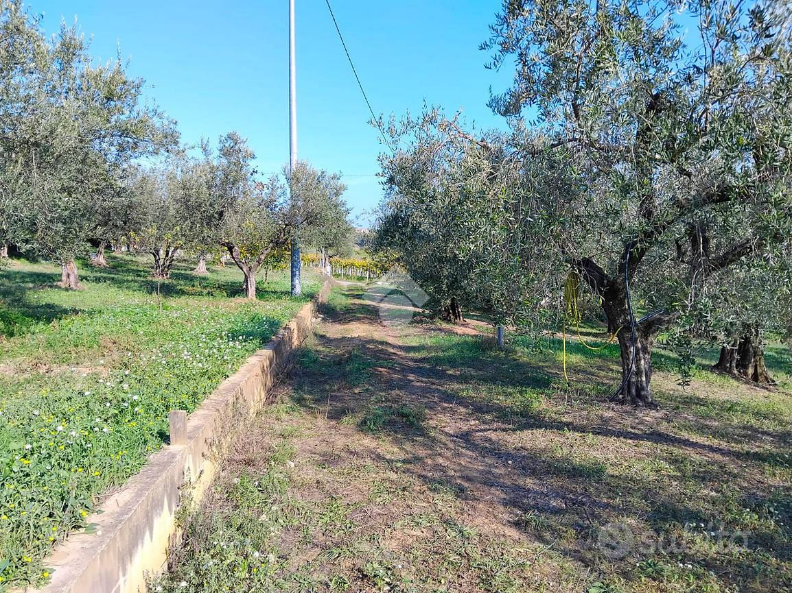 TER. AGRICOLO A MOSCUFO - Vista 2