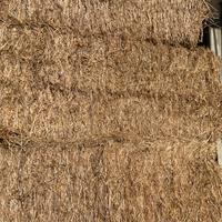 Fieno foraggio avena loietto in balloni prismatici