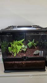 Terrario exoterra 45×45×45