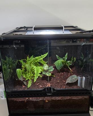 Terrario exoterra 45×45×45