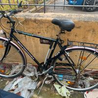 Bici da citta bottecchia