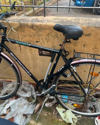 Bici da citta bottecchia