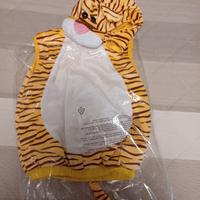 Costume carnevale