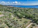 ter-agricolo-a-bracciano