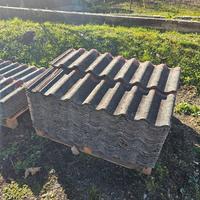 a prezzo simbolico tegole  "inglese" o "wierer"