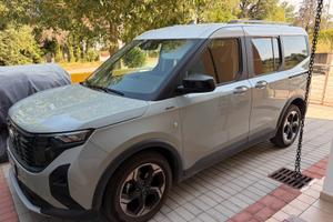 Ford tourneo