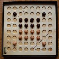 Dama solitario cinese nuovo