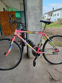 Biciclette usate varie tipologie