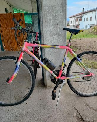 Biciclette usate varie tipologie