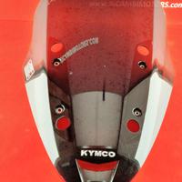 PARABREZZA CUPOLINO KYMCO XCITING