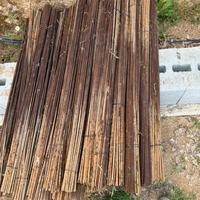 Paletti tutori per vigna