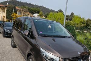Mercedes V