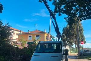 Iveco daily 35C15A